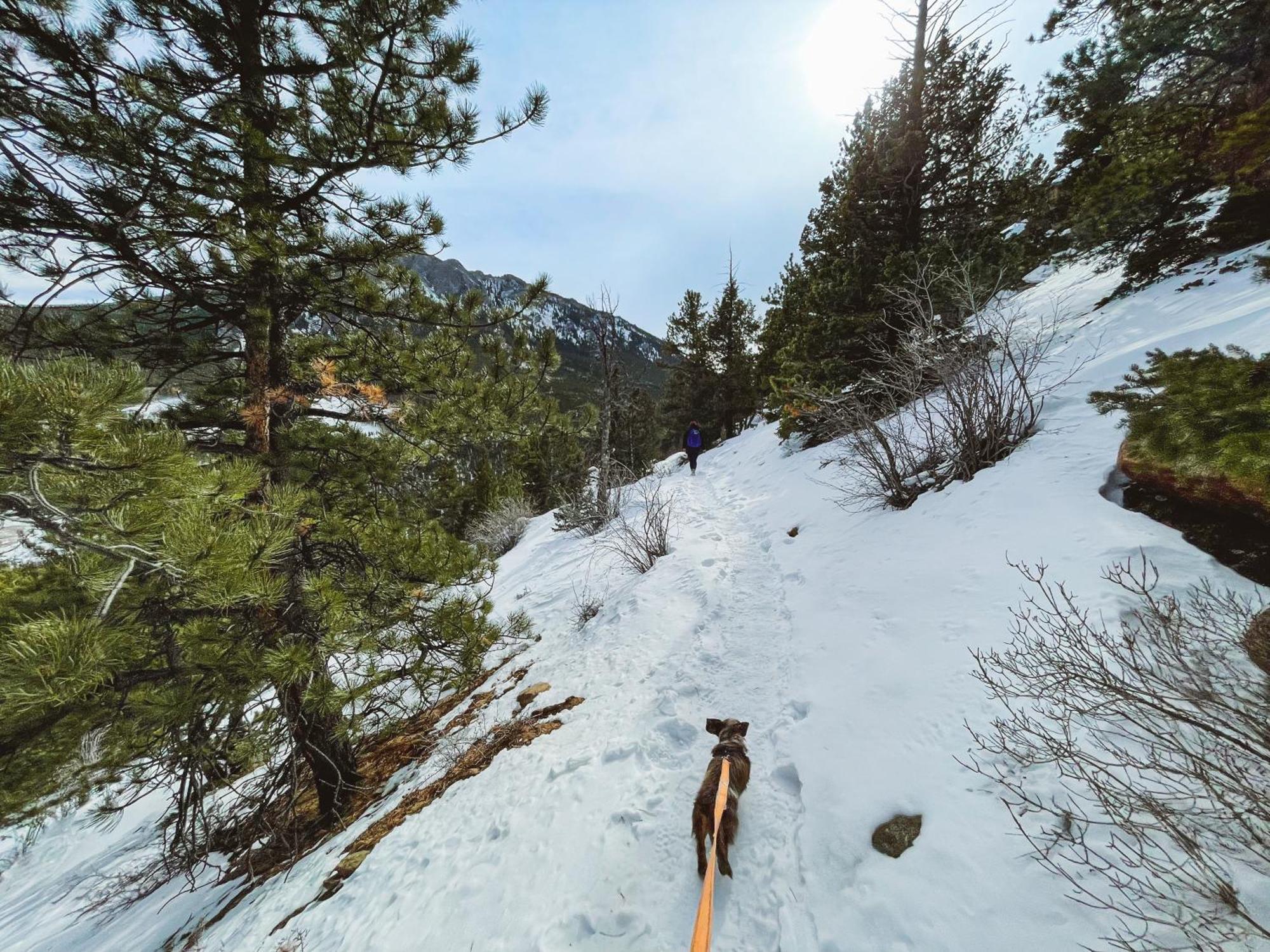 Holiday Inn Estes Park By Ihg Exterior foto